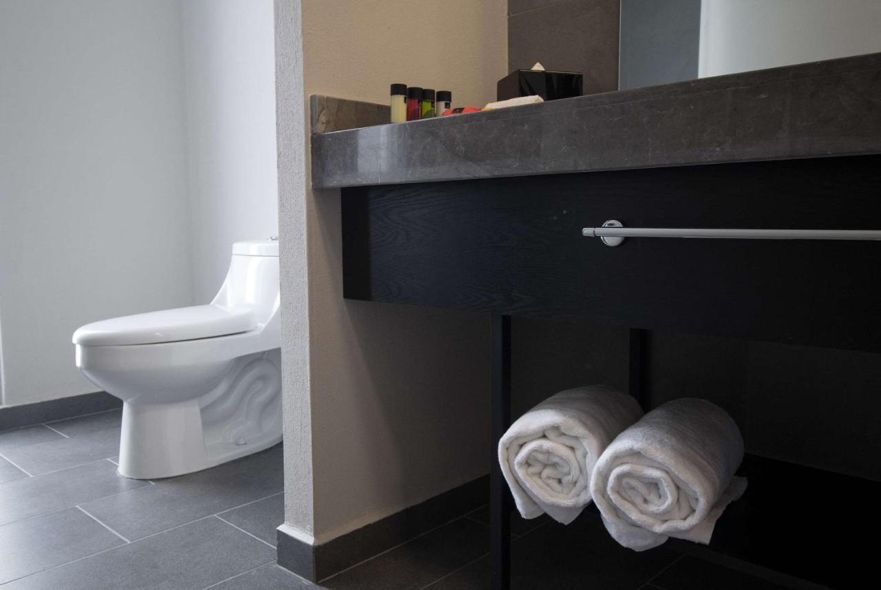 Tryp By Wyndham San Luis Potosi Hotel & Suites Buitenkant foto